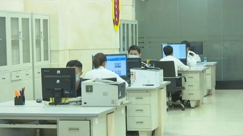 洋浦首票保稅燃料油直供國際航行船舶業(yè)務(wù)成功落地，開啟燃料補(bǔ)給新篇章